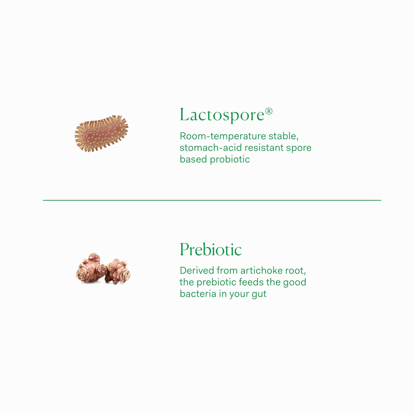 The Nue Co. | PREBIOTIC + PROBIOTIC Capsules