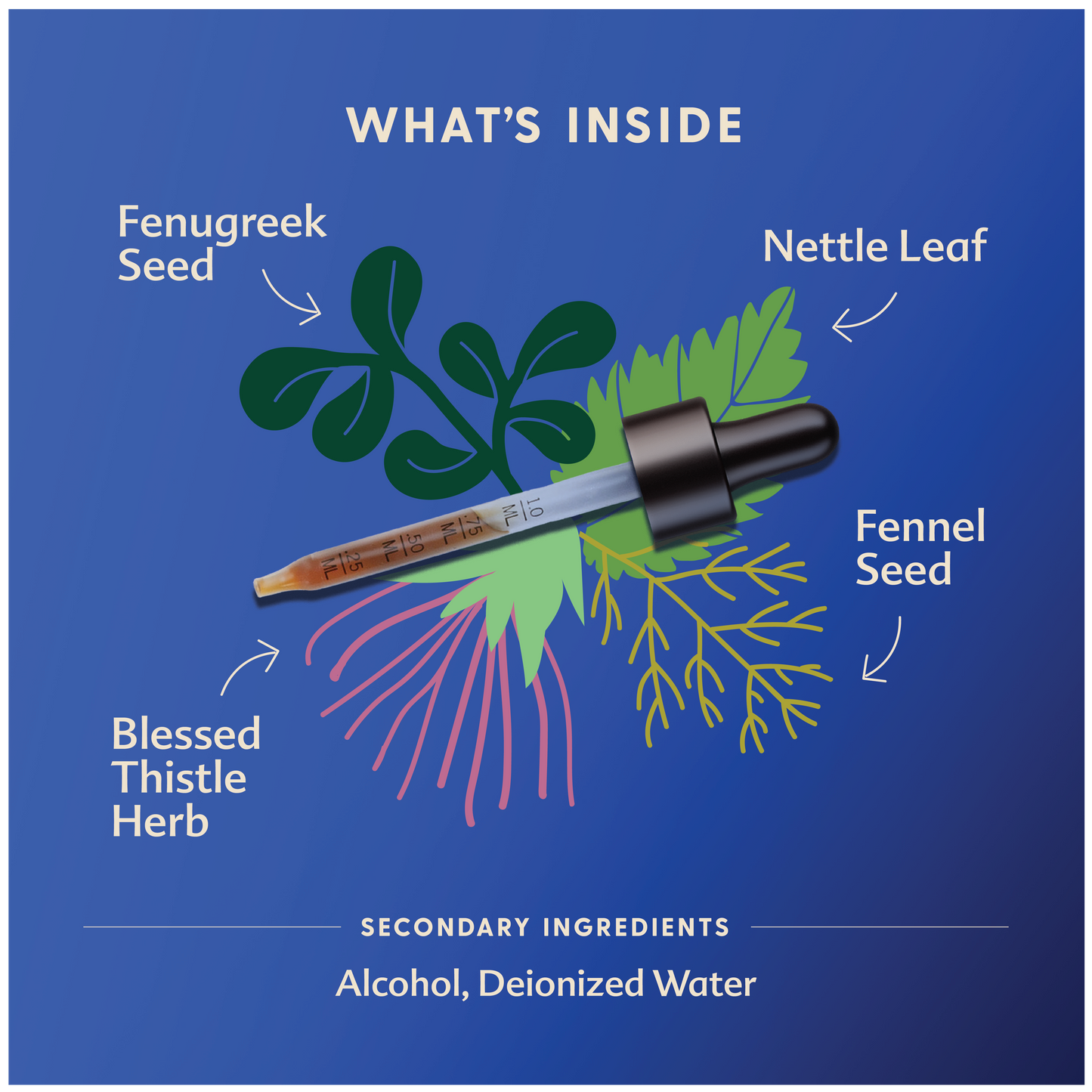 Motherlove More Milk Plus Tincture
