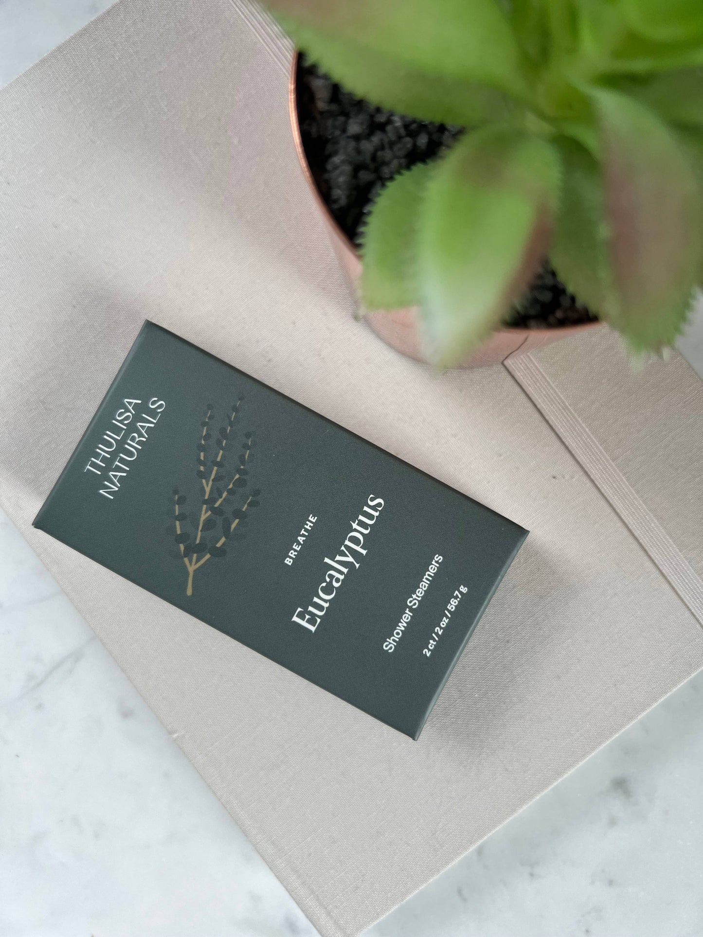 Shower steamers | Eucalyptus | 2 pack gift set