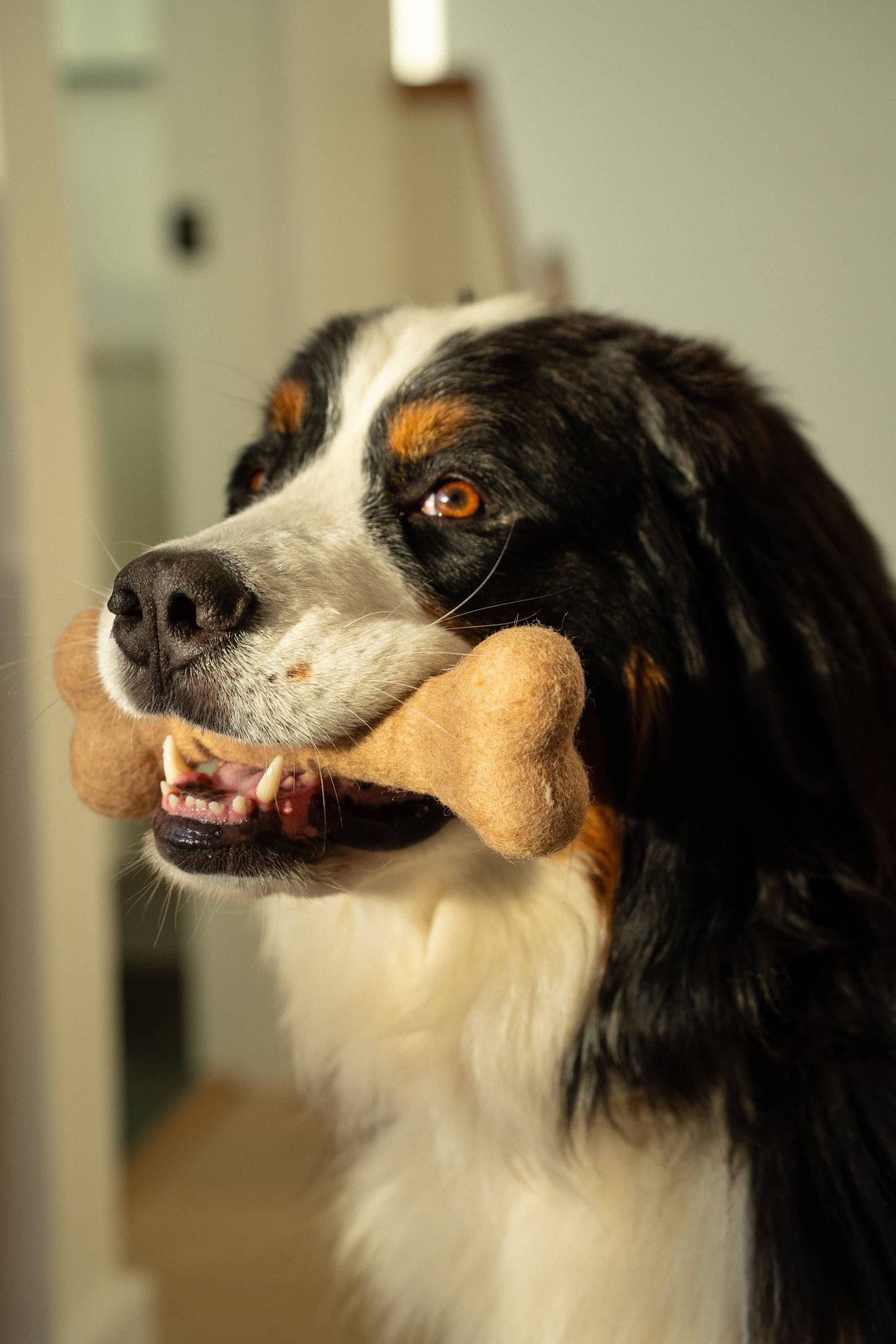Trio of Brown Felted Dog Bones