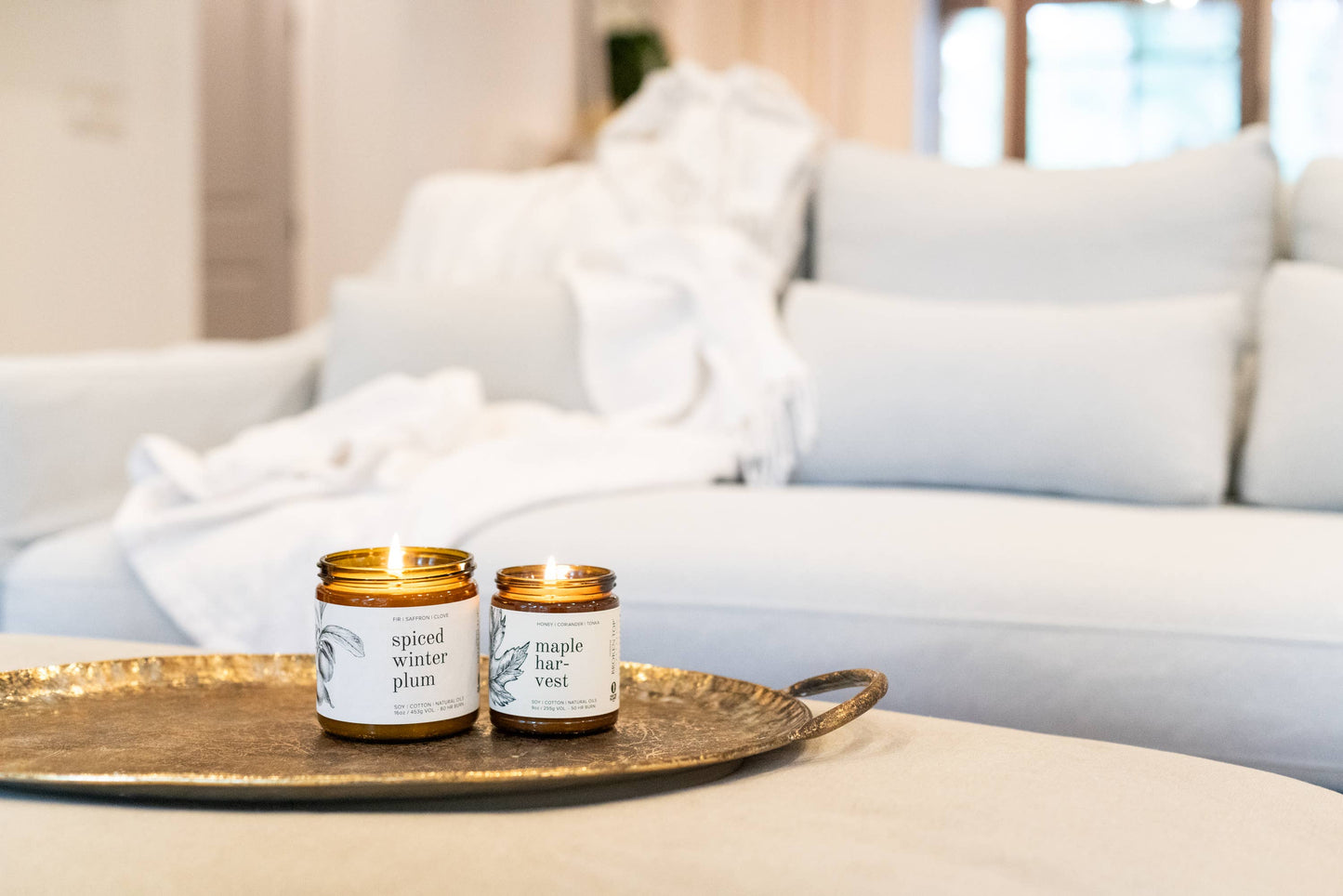 Spiced Winter Plum Soy Candle | 16oz