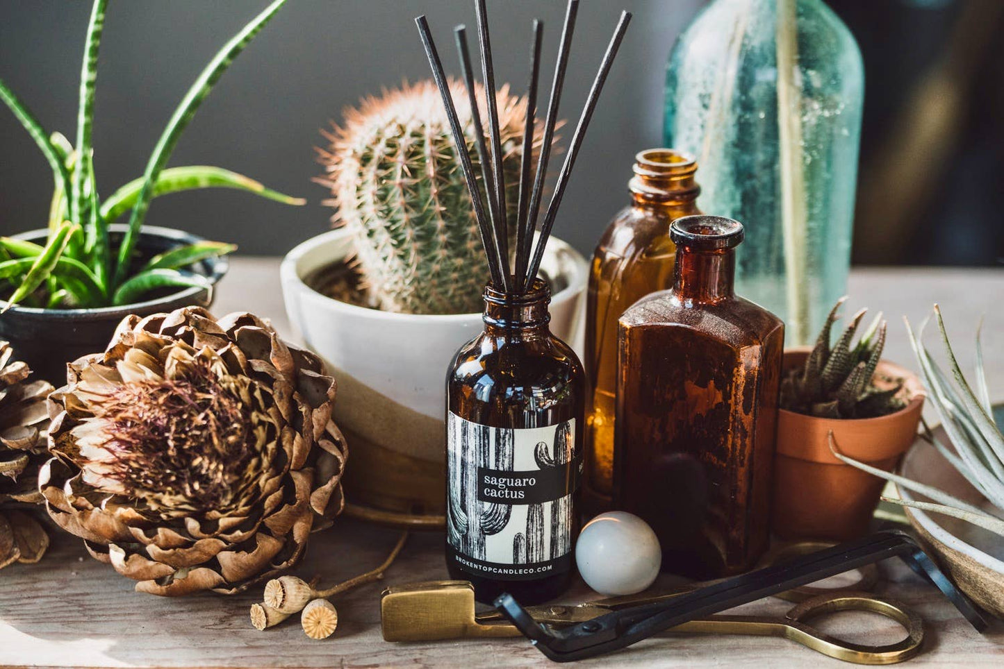 Saguaro Cactus - Reed Diffuser