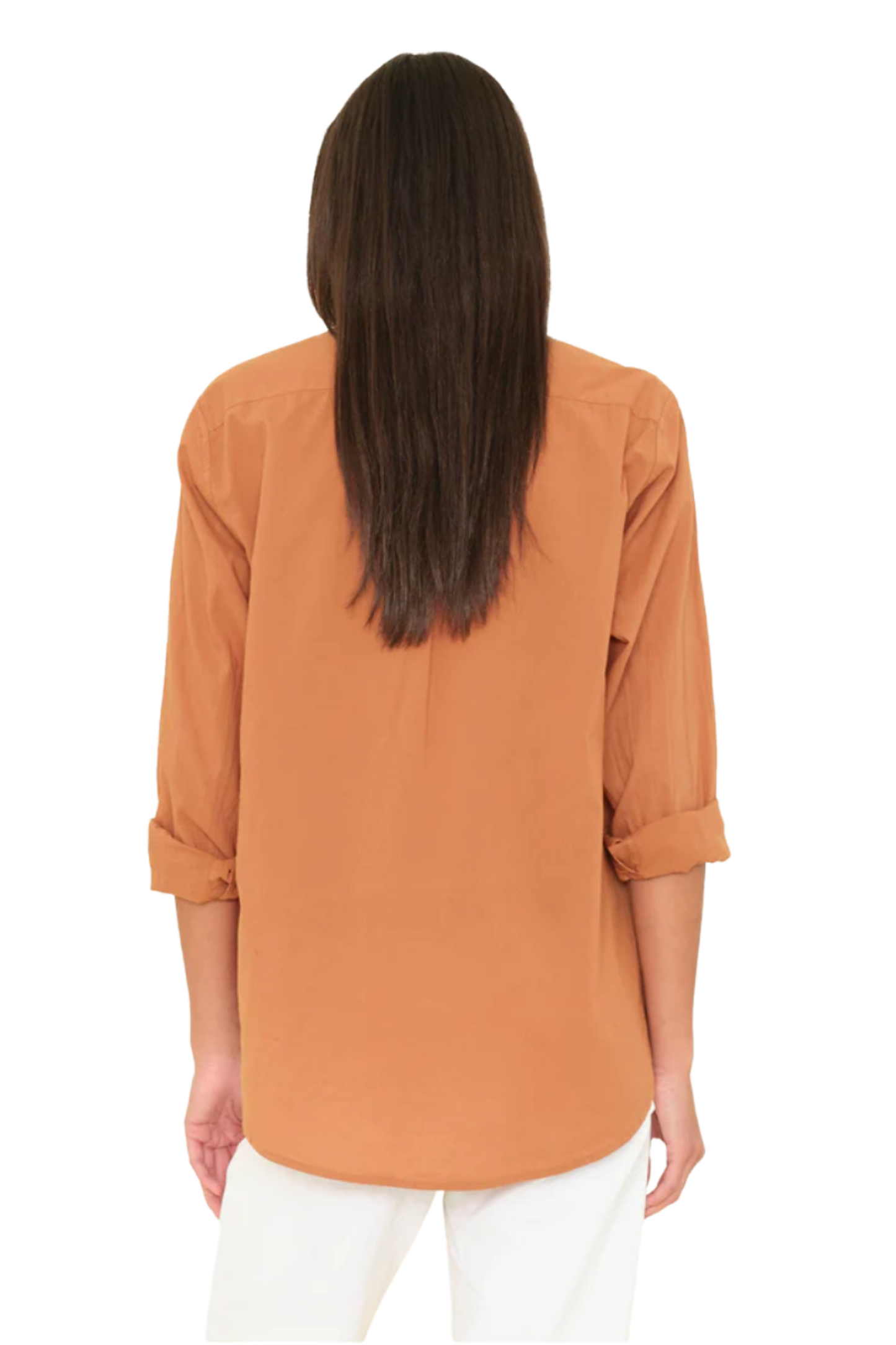 Xirena Beau Shirt | Ginger