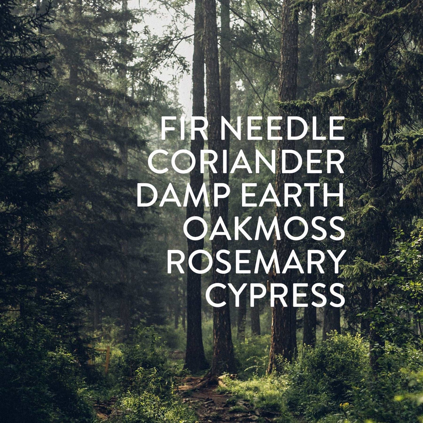 Forest | Particle Goods Soy + Coconut Wax Candles
