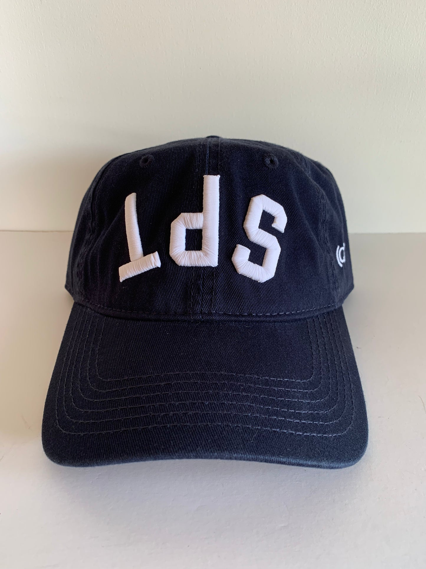 SPT Upside Down Embroidered Dad Hat
