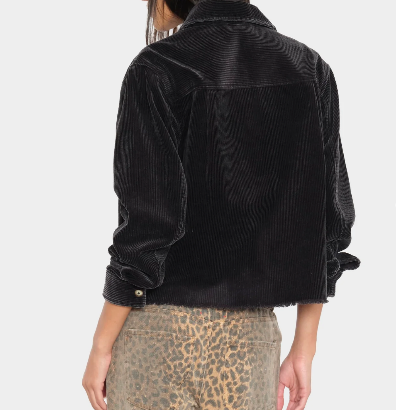 Xirena Ben Shirt | Black Flint