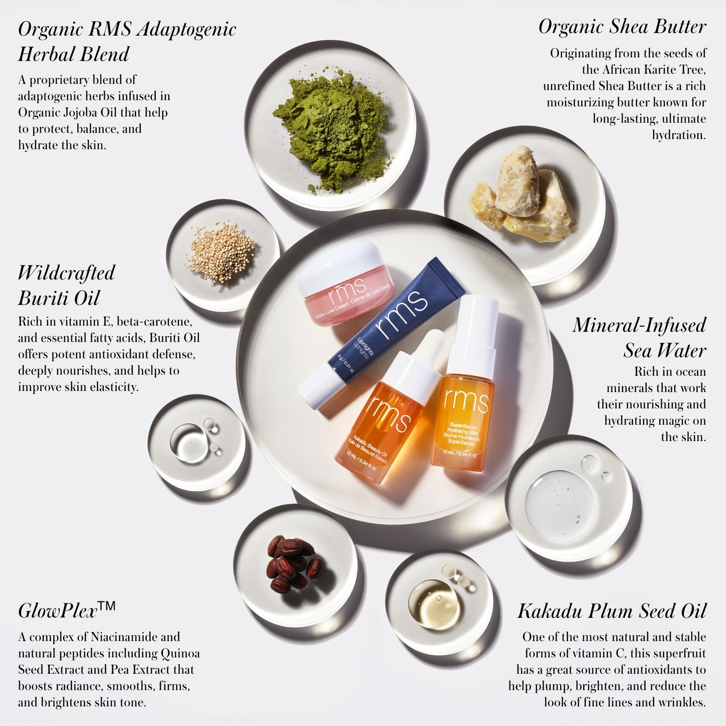 RMS Beauty Skincare Secrets Kit