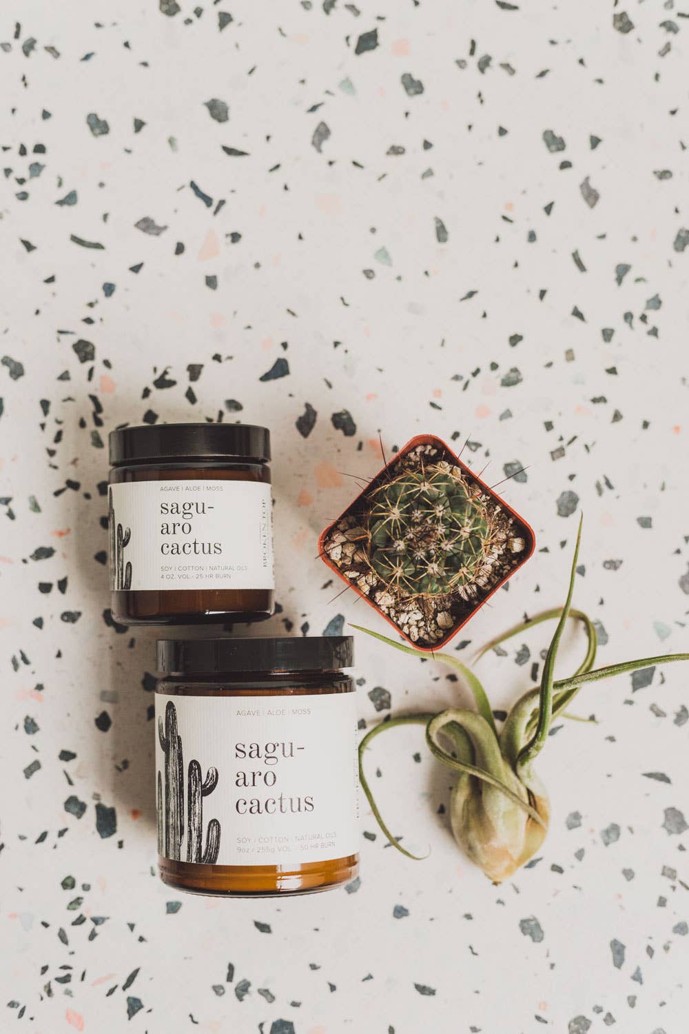 Saguaro Cactus | Natural Soy Candle 9 oz