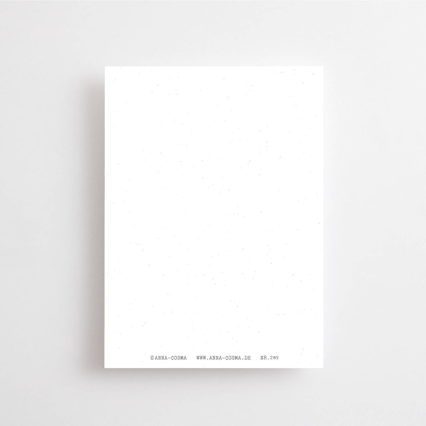 Another Year Around the Sun | Happy Birthday Postcard