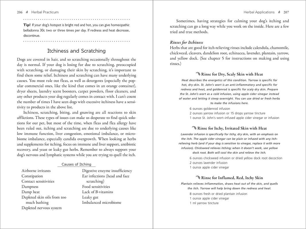 Herbal Dog by Rita Hogan