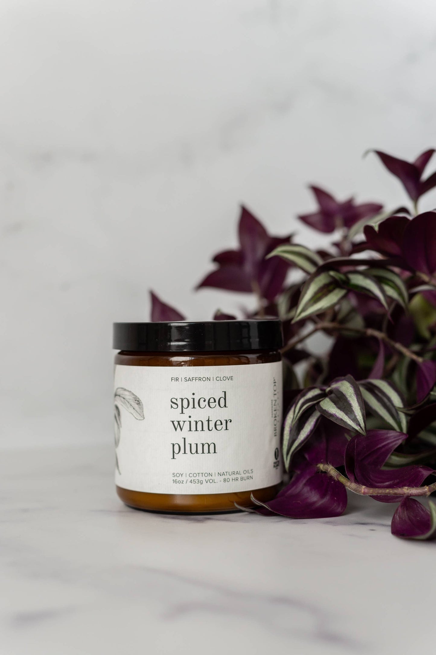 Spiced Winter Plum Soy Candle | 16oz