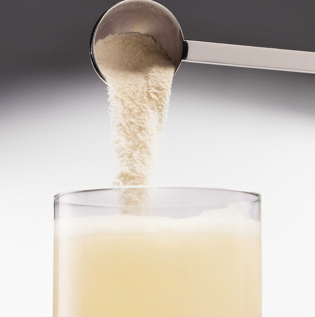 The New Co. | COLLAGEN GUT BARRIER+