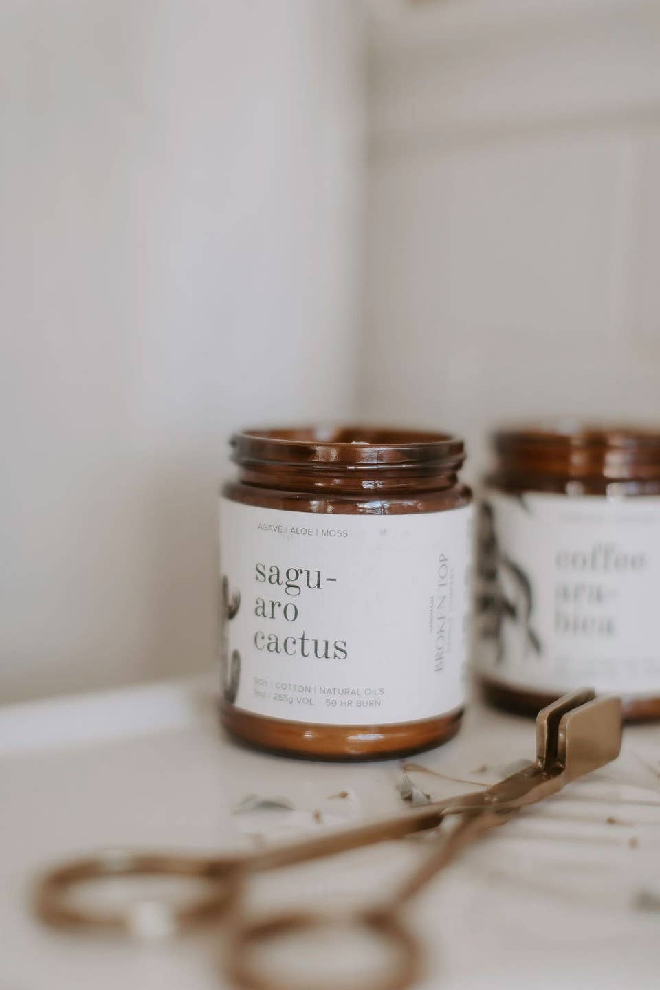 Saguaro Cactus | Natural Soy Candle 9 oz