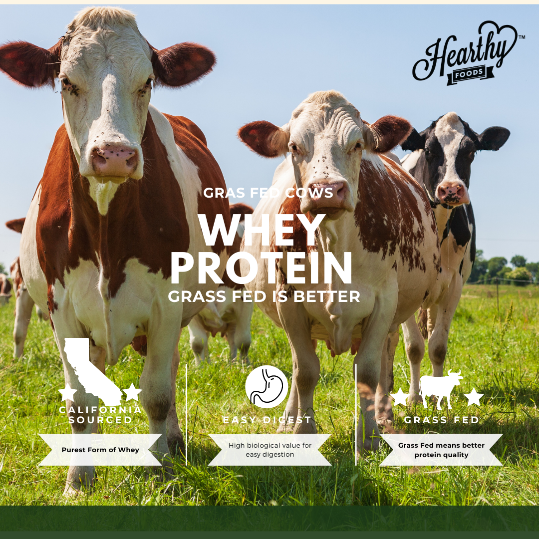 Grass Fed Unsweetened Whey Protein Powder Isolate