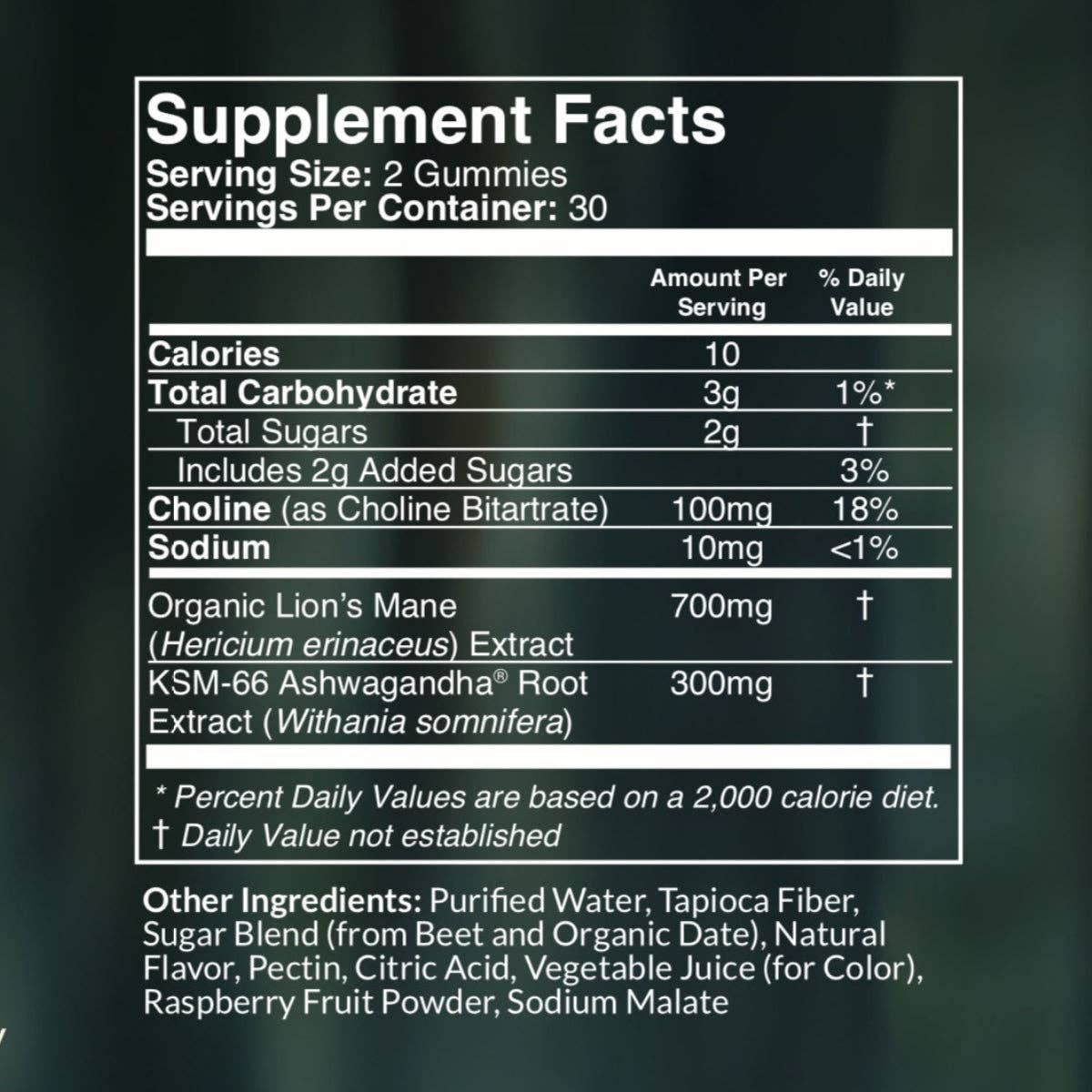 Fantastic Fungi Memory Gummies