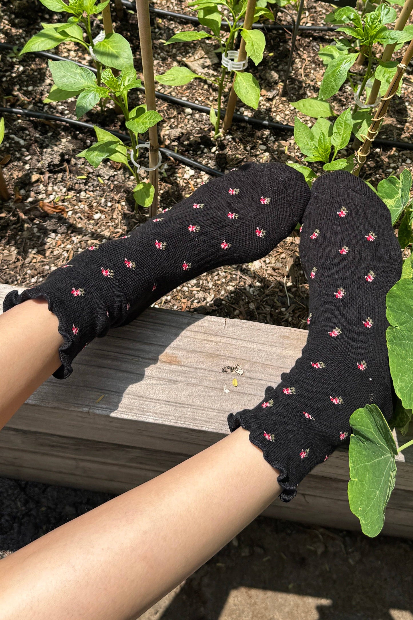 Le Bon Shoppe Petal Ruffled Hugger Crew Socks | Black