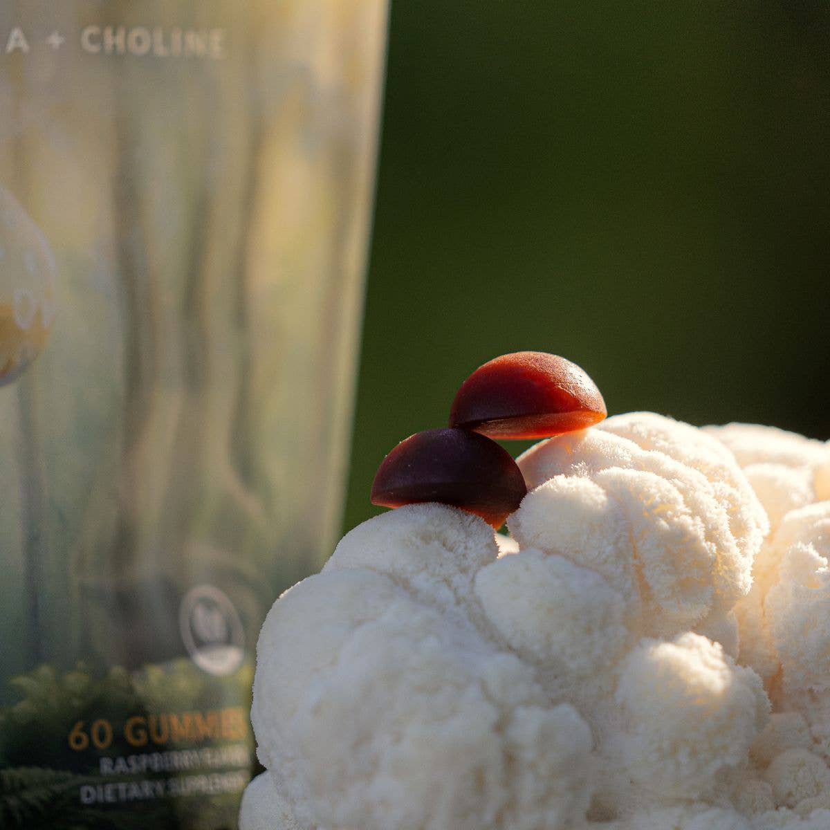 Fantastic Fungi Memory Gummies