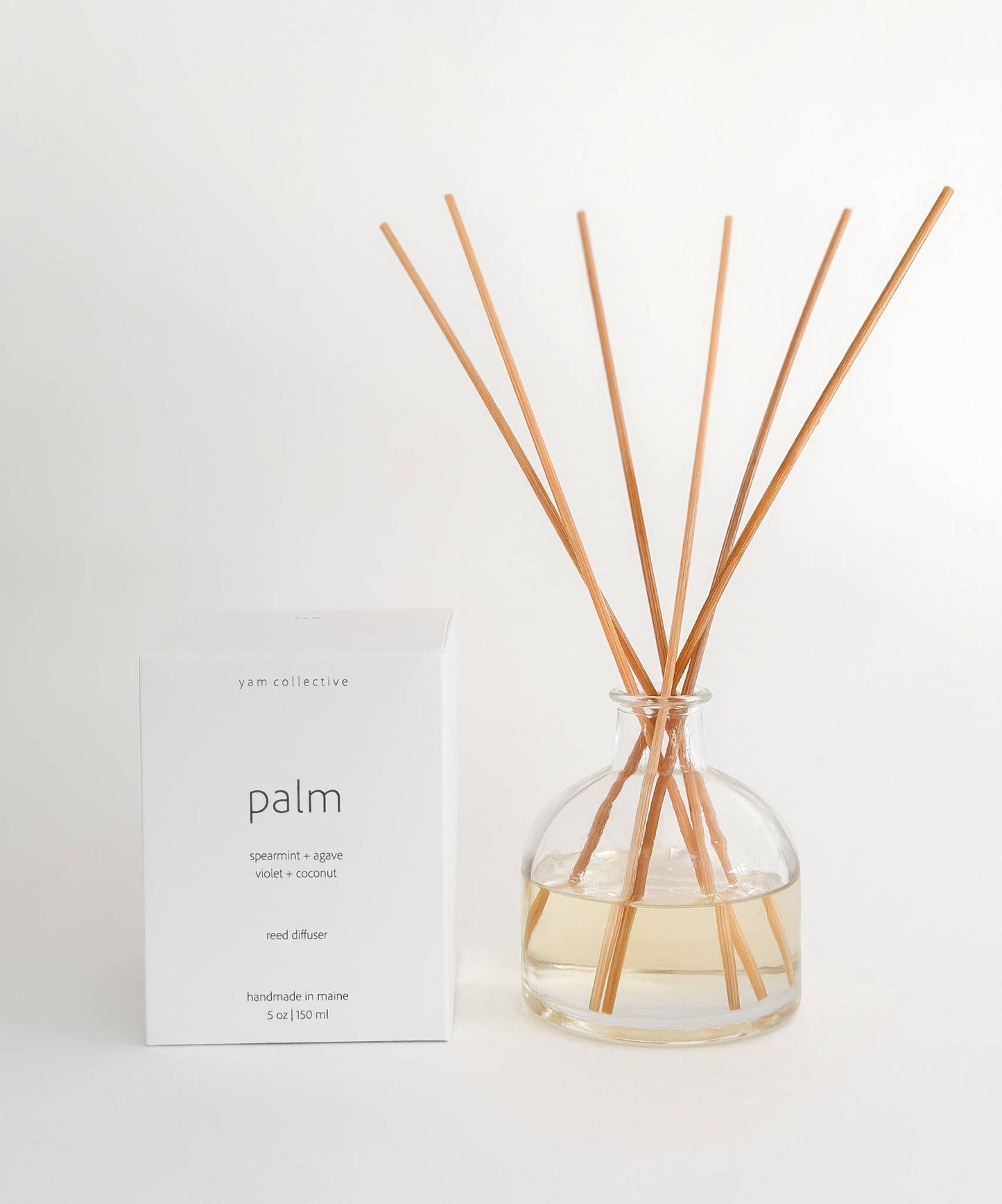 Palm Reed Diffuser | Agave + Coconut