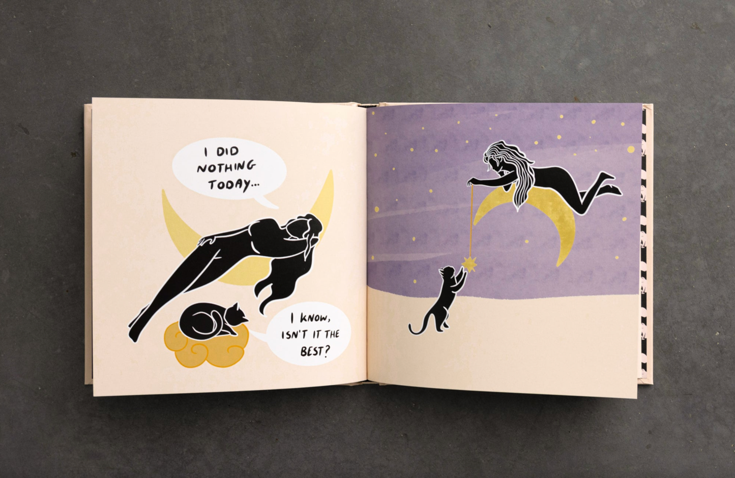 Conversations With My Cat illustrated Book | Danica Gin