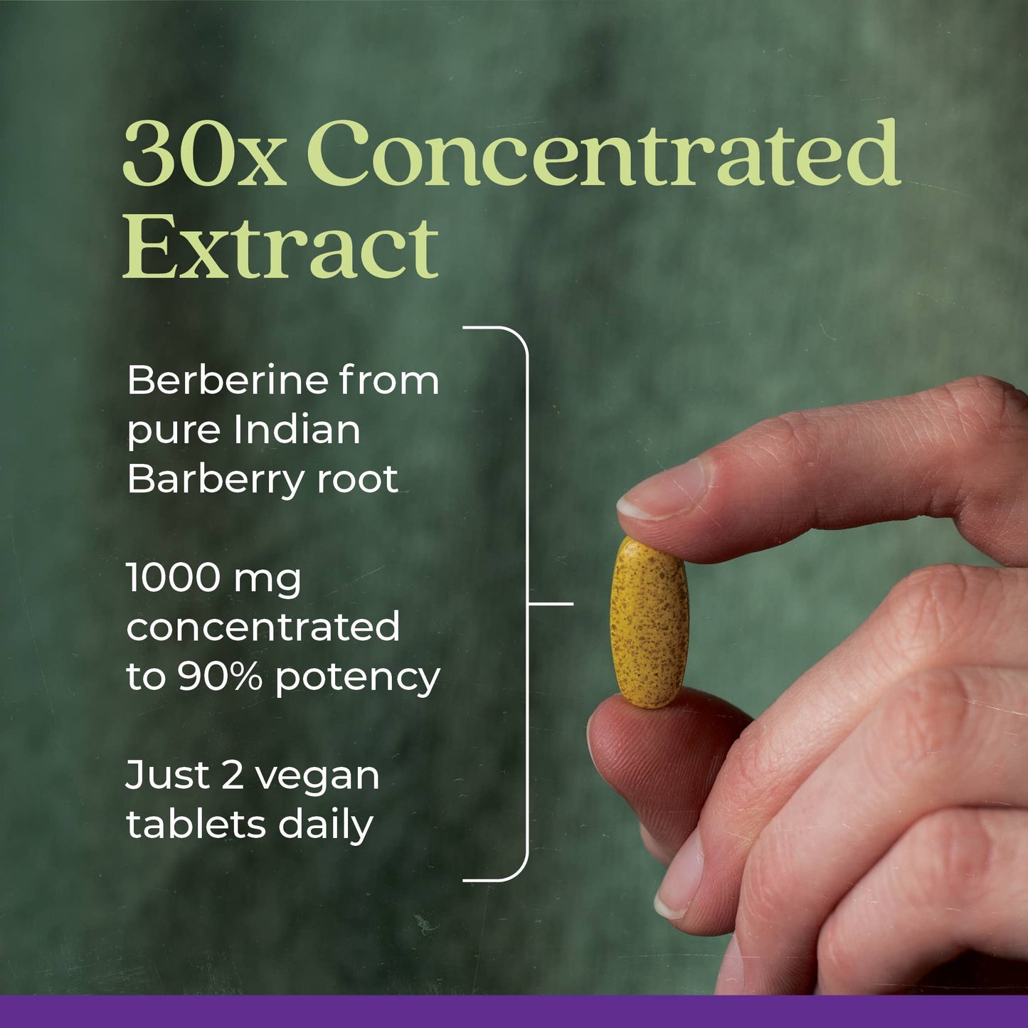 New Chapter Berberine Supplement - 1000 mg | 60 Tablets