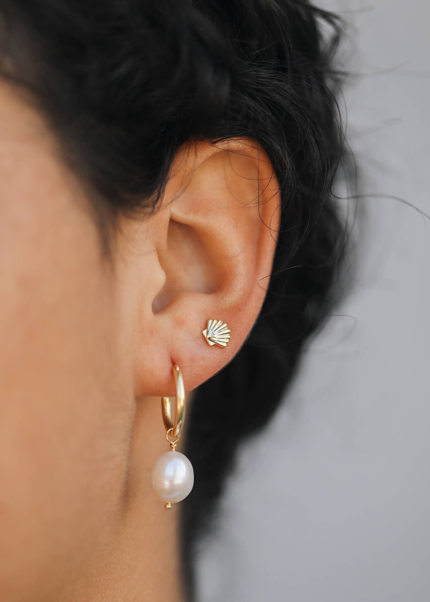 Seashell Gold Earrings