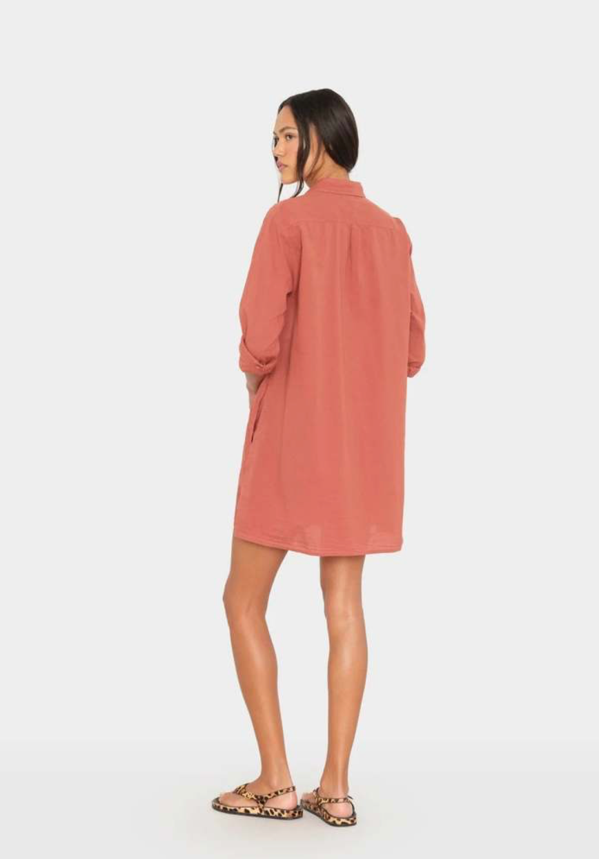 Xirena Bobby Dress | Cinnabar