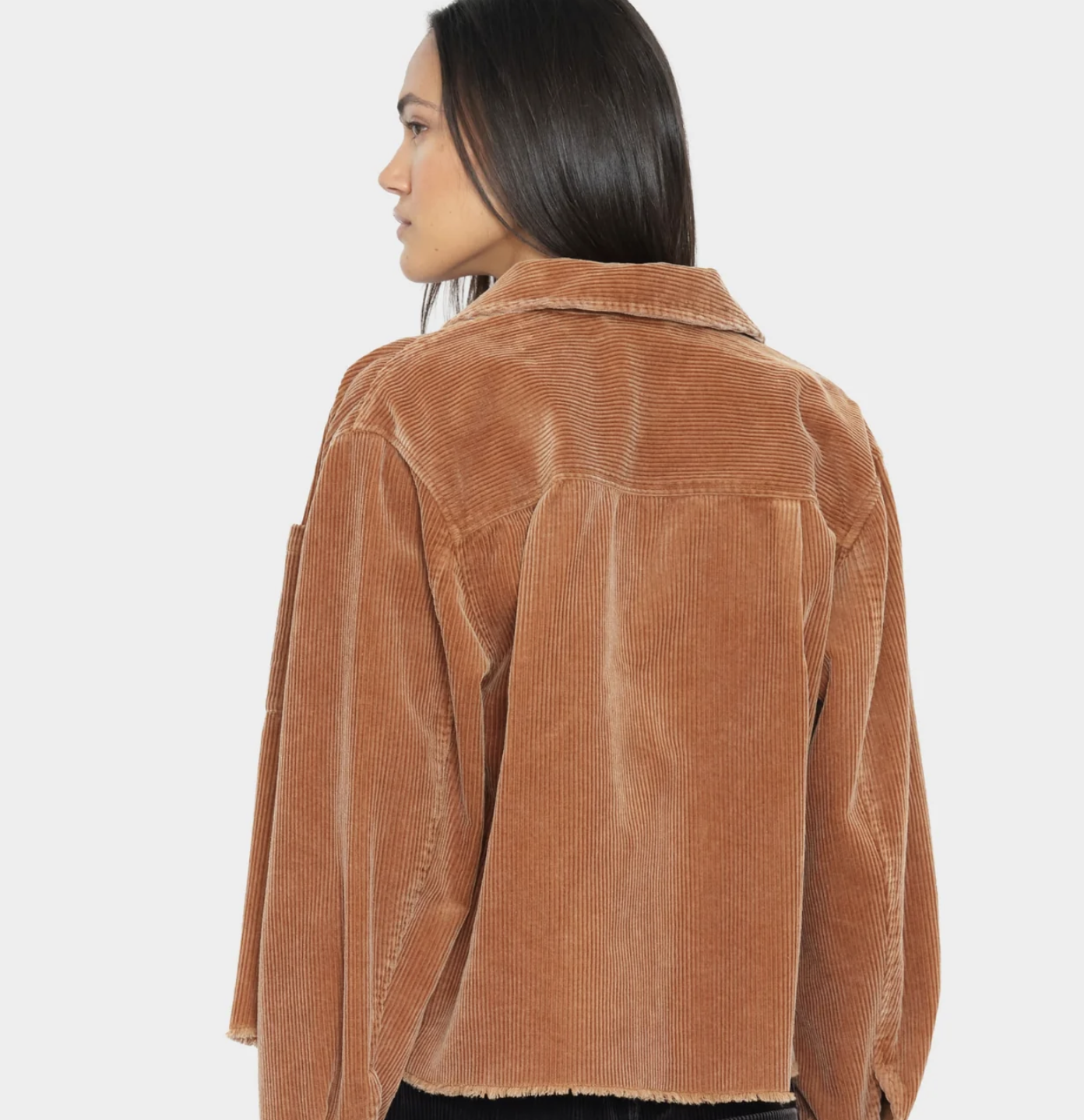 Xirena Ben Shirt | Camel