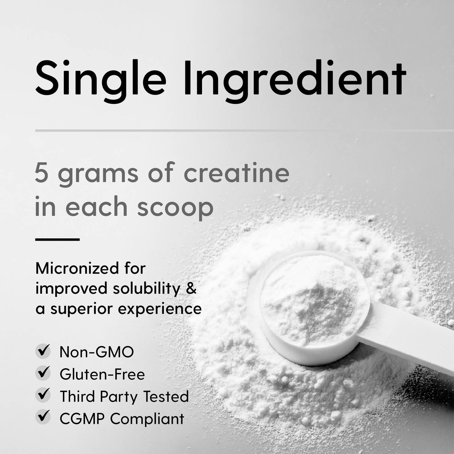 Creatine Monohydrate | 17.6 oz
