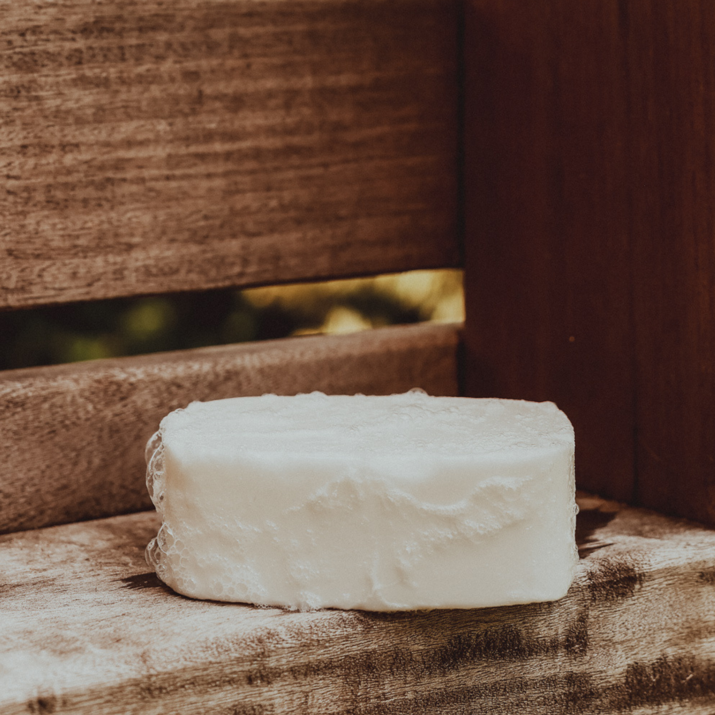 Skin Trip Coconut Soap | Gentle Bar Cleanser