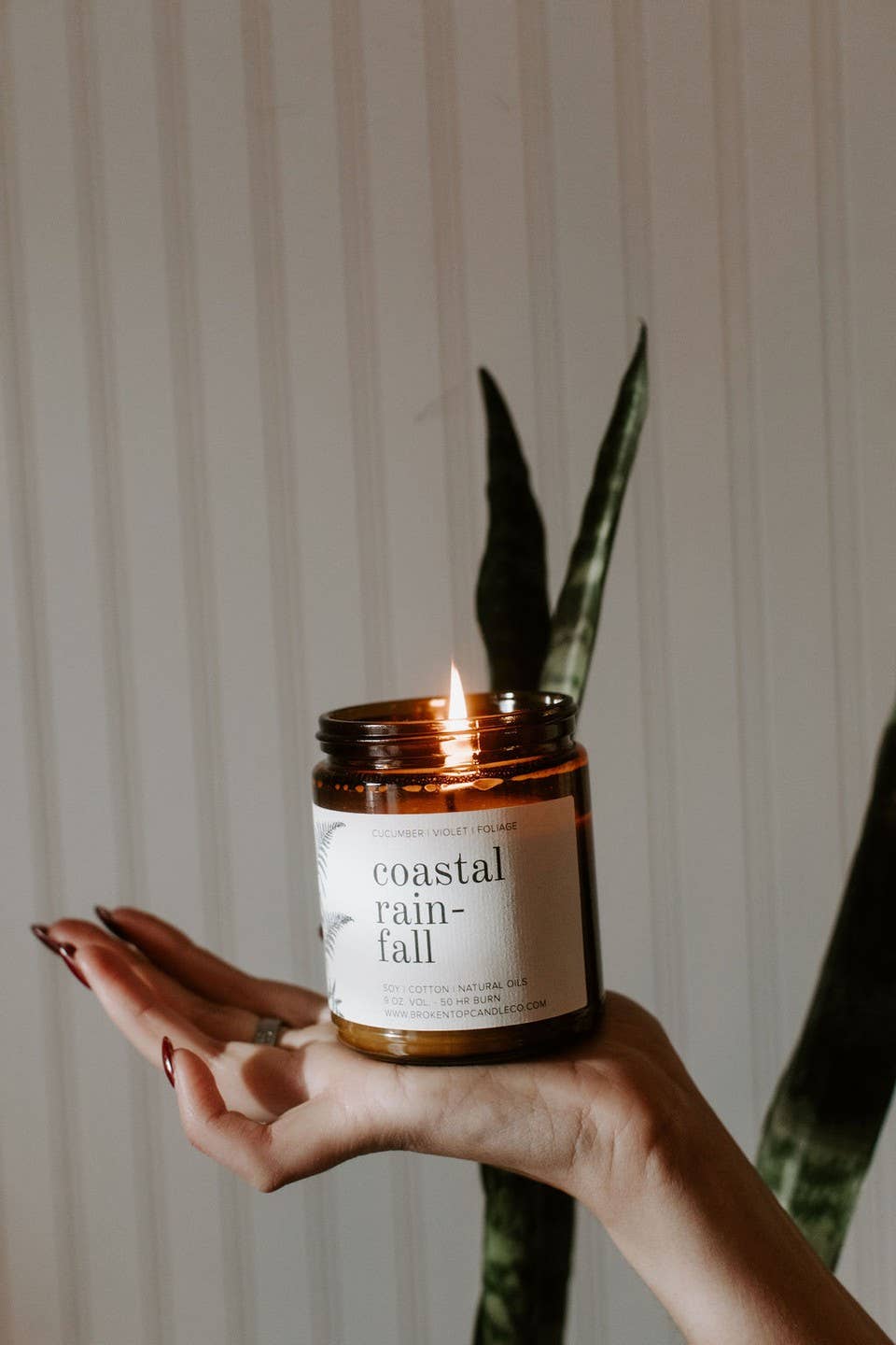 Coastal Rainfall | 9oz Soy Candle