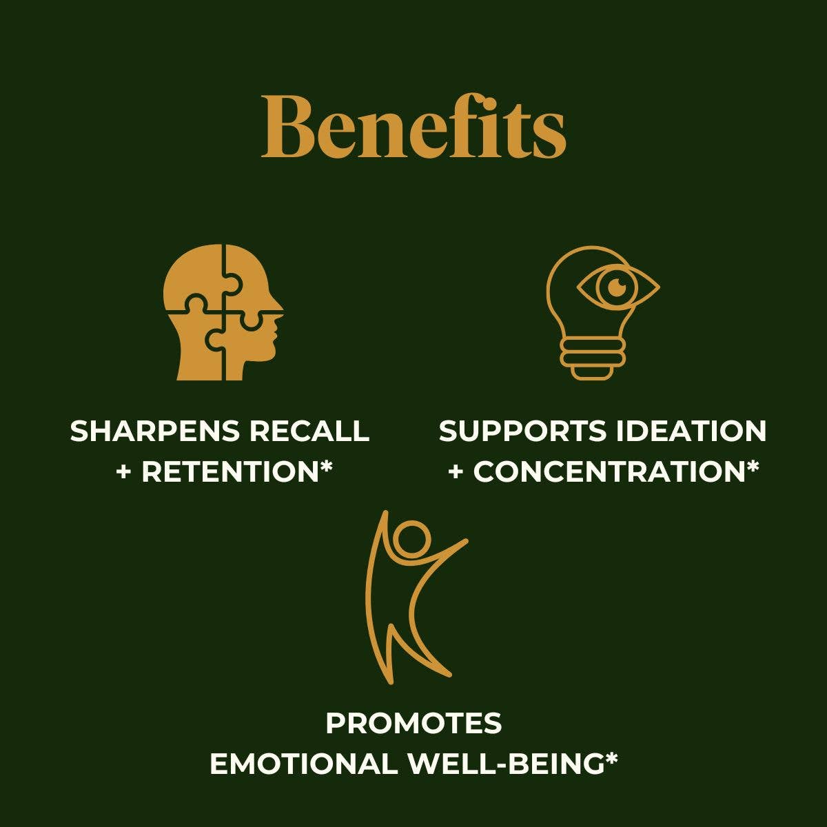 Fantastic Fungi Memory Gummies