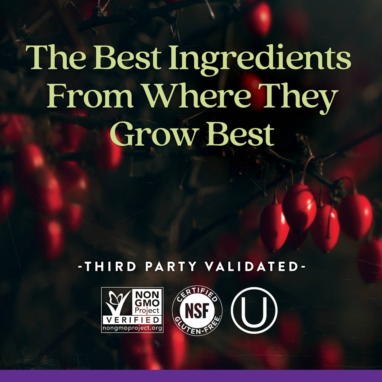 New Chapter Berberine Supplement - 1000 mg | 60 Tablets