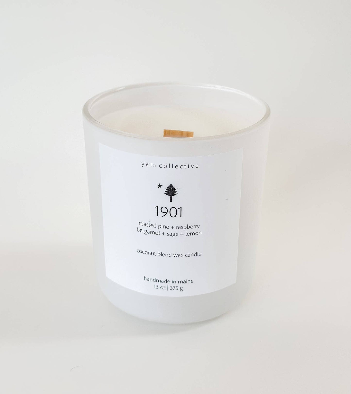 1901 Coconut Blend Candle |Pine + Fig Leaf